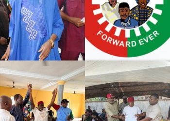 Labour Party Picks Labaran Maku, Simon Eze, Others For June 20 By-Elections