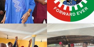 Labour Party Picks Labaran Maku, Simon Eze, Others For June 20 By-Elections