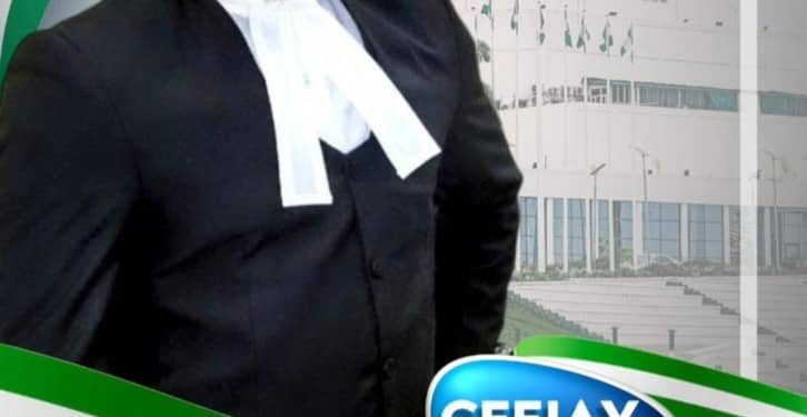 Onyeneke Disowns Viral NDC Candidate Announcement, Warns Against Unauthorized Publications