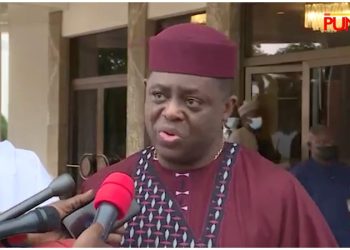 Fani-Kayode redeployed from Germany to South Africa after request