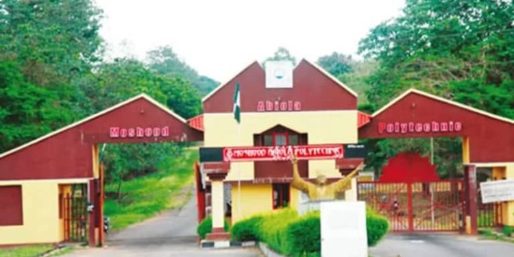 Ogun poly expels 365 students for presenting fake results, forged transcripts