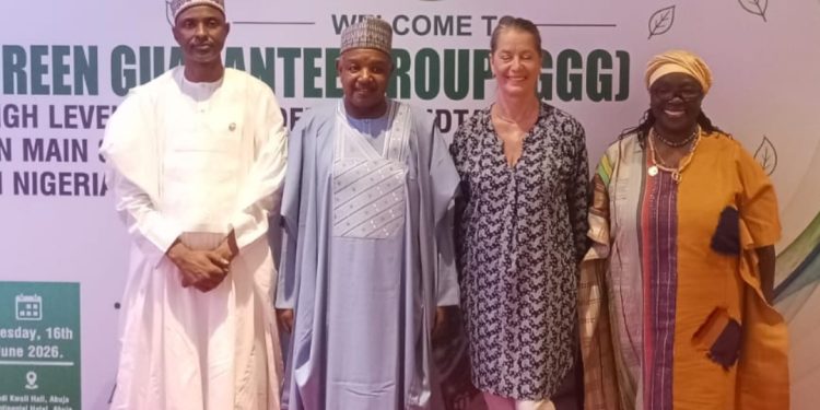 FG, Germany, Global Partners Push Green Financing To Unlock Investments, Boost SMEs