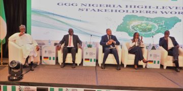 FG Moves To Attract Green Investments Through Innovative Guarantee Mechanisms