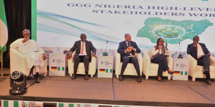 FG Moves To Attract Green Investments Through Innovative Guarantee Mechanisms