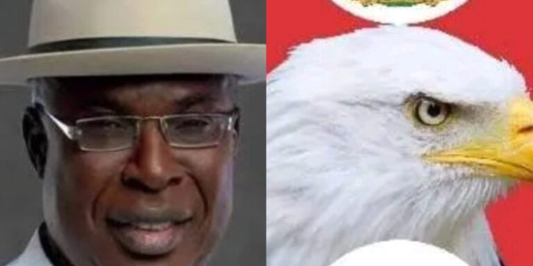 Kwankwaso’s son named NDC deputy governorship candidate in Kano
