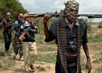 Police Report: Bandits Launch Over 50 Attacks in One Week