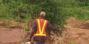 FG Intensifies Crackdown, Arrests Illegal Miners In Osun