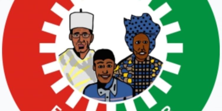 Labour Party Celebrates Ajaero’s Historic International Labour Honour
