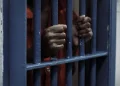 Nigerian Woman Arrested In India With Cocaine Worth N41m