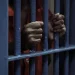 Nigerian Woman Arrested In India With Cocaine Worth N41m