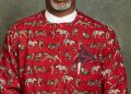 Nwosu Urges Government Action On Divisive Utterances