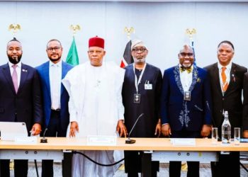 African Leaders Seek Greater Value From Mineral Wealth