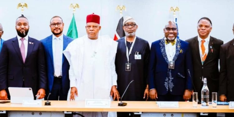 African Leaders Seek Greater Value From Mineral Wealth