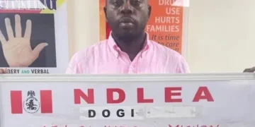 NDLEA Arrests Influencer Over $28m Cocaine Shipment Bound For UK