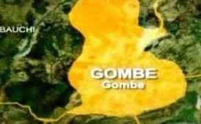 Gombe Tertiary Institutions’ Unions Begin Two-Week Warning Strike