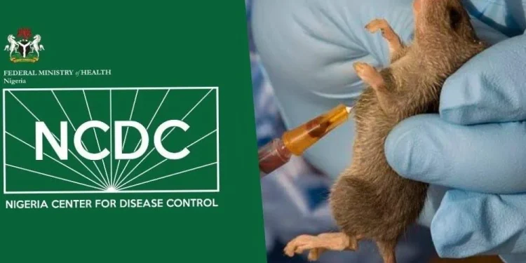 NCDC Confirms 14 New Cases Of Lassa Fever