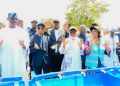FG Tasks States On Six-Month Hygiene Plans