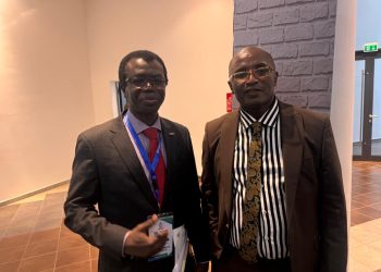 Okafor Urges African Leaders To Drive Gas-Based Industrialisation