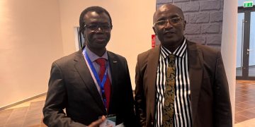 Okafor Urges African Leaders To Drive Gas-Based Industrialisation